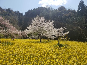 フラワーパークおおず