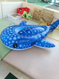 ジンベイザメともあそんでね♡