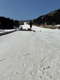 ☆　コンシーズンラスト！　ハチ北スキー場へ　☆　こまつ編