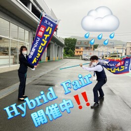 雨にも負けず、風にも負けず