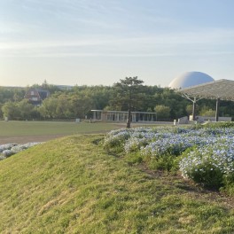 やまわきのお散歩日記