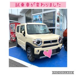 ハスラー試乗車が変わりました！