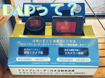 あなたを守るＤＡＰ！！！