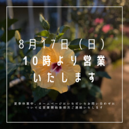 8月１７日（日）１０時より展示会開催いたします！