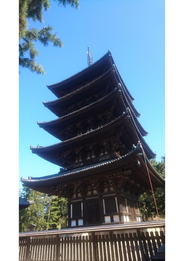 晩秋の興福寺へ行ってまいりました。