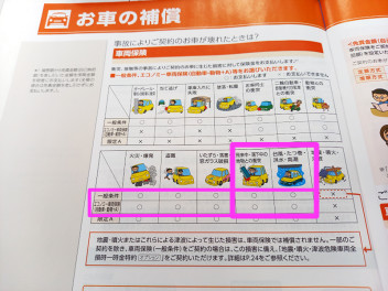 飛び石でガラスが割れる前に