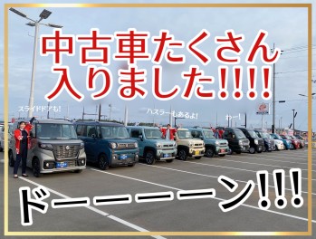 また新入りが登場！