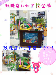 玖珠店に七夕登場(*^▽^*)