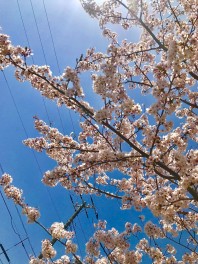 週末はスズキアリーナ木更津へ‼