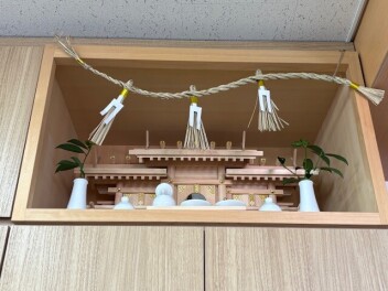 珍しい花が咲きました！！