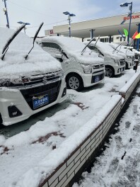 ☆彡雪が積もりました☆彡