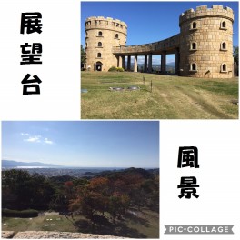 愛媛のオススメスポット「松山総合公園」
