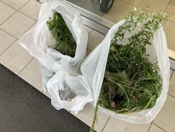 環境美化活動をしました！