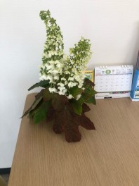 ご来場ありがとうございました！