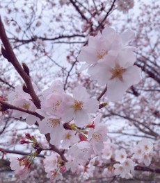 週末商談会～フレッシュな皆さまへ～