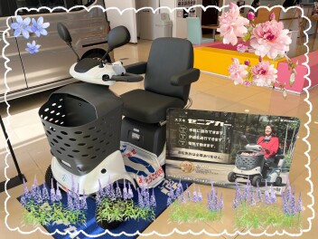 おすすめ！スズキセニアカー