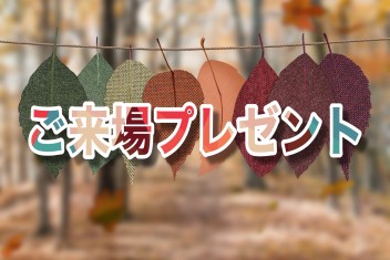 今週のご来場プレゼントは…
