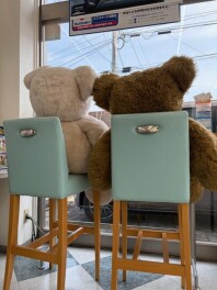 新年度スタートしました(*^▽^*)