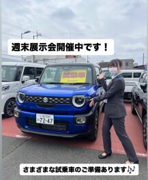 週末展示会開催中です！！！