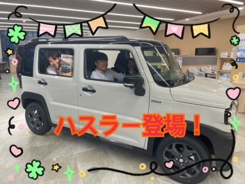 ハスラー登場