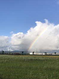 今日も元気に営業中ですよ～