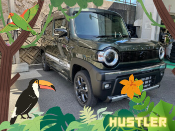 ハスラータフワイルド☆彡　納車しました！