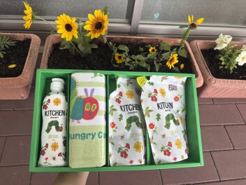 あおむし来ました！