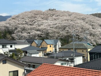 スプリングフェア階差中！