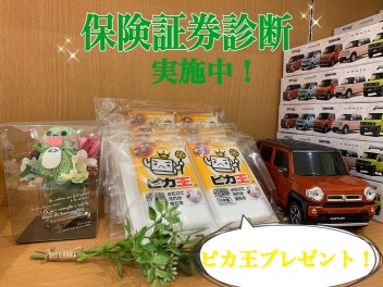 自動車保険の証券診断、無料で実施してます！