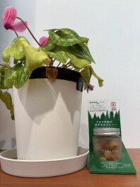 エステー×スズキ　共同開発商品のご案内