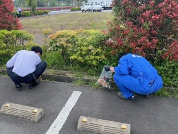 クリーン作戦実施しました！