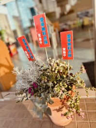 愛車無料点検開催中！！