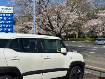 県庁前♪スズキ中古車大商談会♪4月11日（土）～4月12日（日）♪