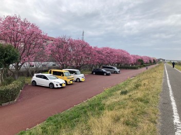 愛媛のおすすめスポット　『重信川　河川敷』