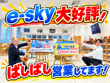 皆さん今e-sky  期間限定でカエルプラン年率が２，９％！