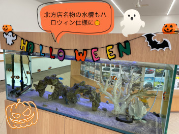 ハロウィン仕様に！