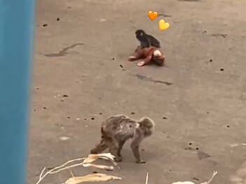 パンチくんに会いに行ってきました♡