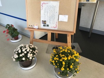すてきな贈り物をいただきました