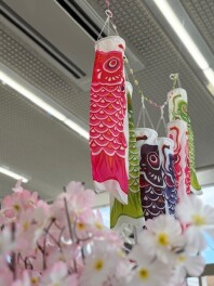 鯉のぼり登場！！