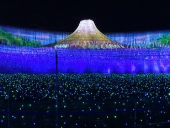 イルミネーション
