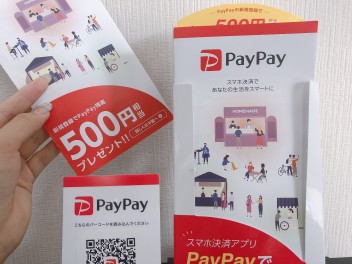 ☆ＰａｙＰａｙ 始めました☆