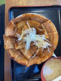 焼肉は無理でも豚ドンならいけるドン。