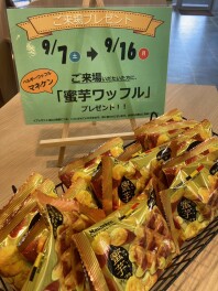 今週末もお得がいっぱい！！