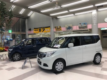 展示車に特別仕様車が入りました