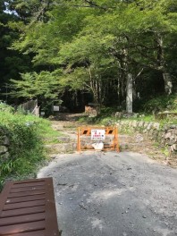 鳳来寺探索のはずが....