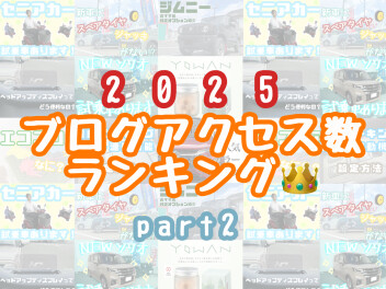 ２０２５年ブログアクセス数ランキング！part２