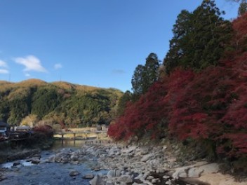 香嵐渓で紅葉まつり！