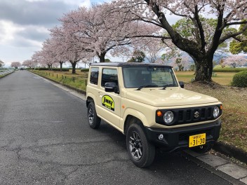 お花見