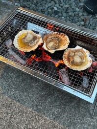 夏ですね