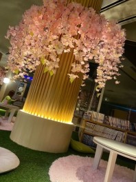 非日常を味わうなら芦別へ。